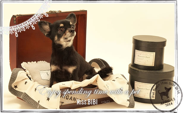 Enjoy spending time with pet MISS BIBI